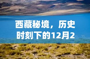 西藏秘境，历史时刻下的自驾探寻之旅，小巷风情小店的高清实拍体验