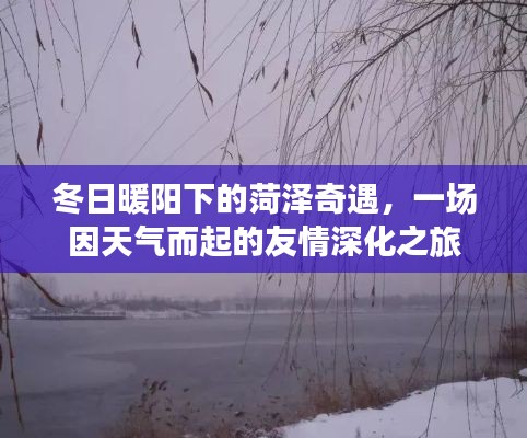 冬日暖阳下的菏泽奇遇，友情深化之旅