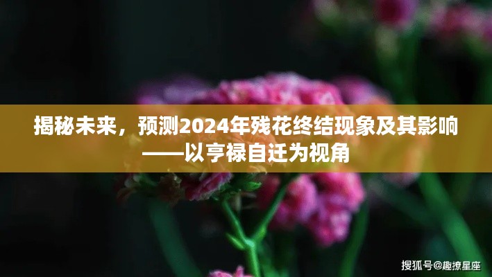 揭秘未来，亨禄自迁视角下2024年残花终结现象及其影响展望