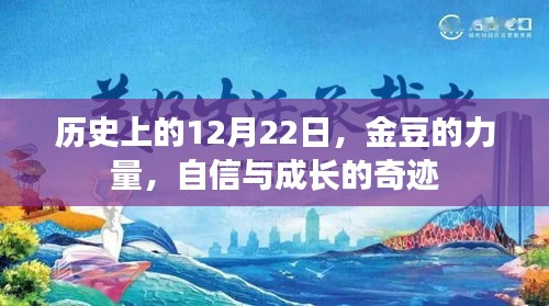 金豆的力量，自信与成长的奇迹——历史上的12月22日见证奇迹时刻