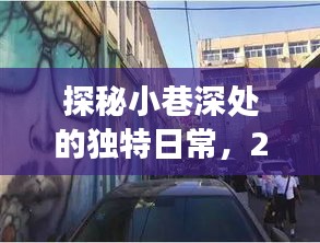 探秘小巷深处的日常奇妙之旅，2024年12月22日的上班之旅