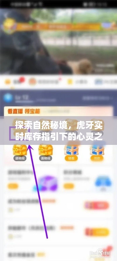 虎牙实时库存指引下的自然秘境心灵之旅探索