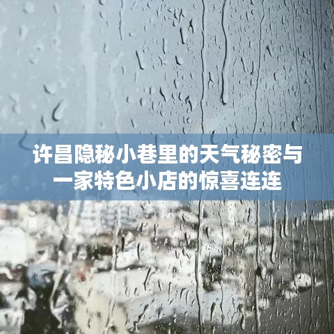 许昌小巷里的天气秘密与小店惊喜探秘