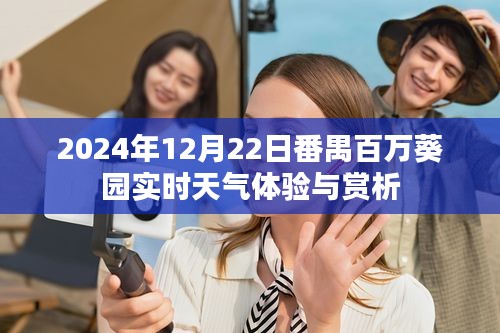 番禺百万葵园2024年12月22日实时天气报告与赏析体验