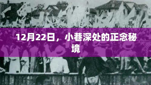 12月22日，小巷深处的正念秘境探索