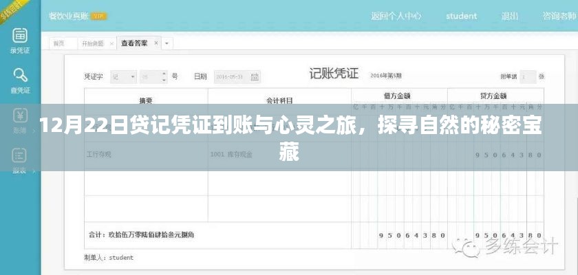12月22日贷记凭证到账，心灵之旅探寻自然秘密宝藏