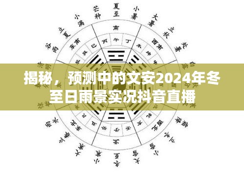 揭秘，文安冬至日雨景实况抖音直播预告——2024年冬至的雨中探秘