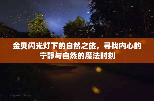 金贝闪光灯下的自然探索，寻觅内心宁静与魔法时刻之旅