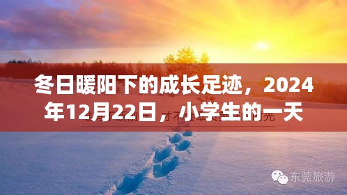 冬日暖阳下的成长日，小学生的一天，2024年12月22日