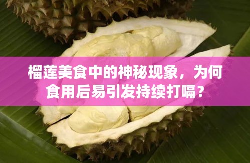 榴莲美食中的神秘现象，为何食用后易引发持续打嗝？