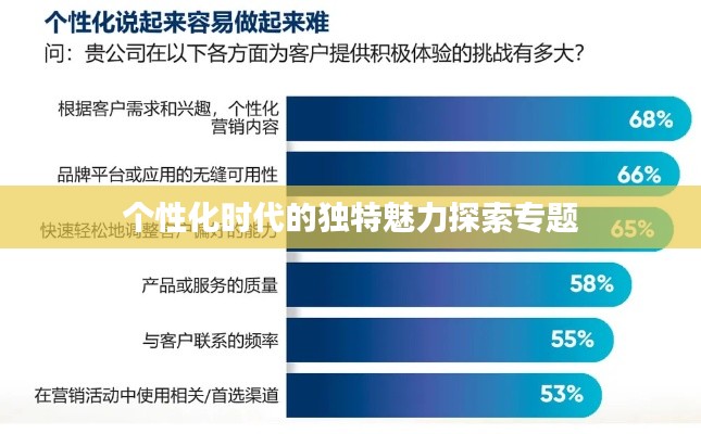 个性化时代的独特魅力探索专题