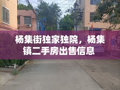 杨集街独家独院，杨集镇二手房出售信息 