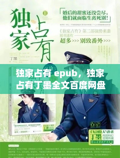 独家占有 epub，独家占有丁墨全文百度网盘 