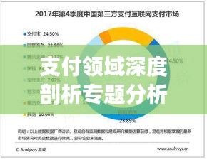 支付领域深度剖析专题分析