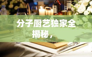 分子厨艺独家全揭秘， 