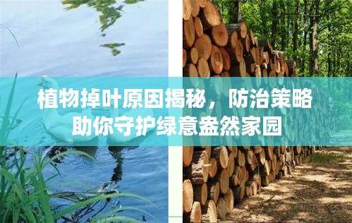 植物掉叶原因揭秘，防治策略助你守护绿意盎然家园