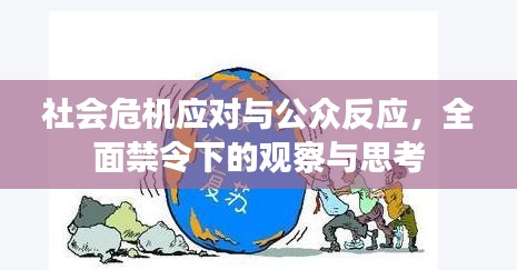 社会危机应对与公众反应，全面禁令下的观察与思考