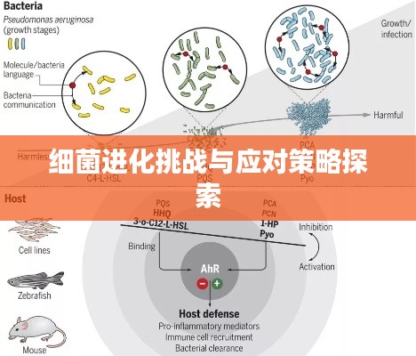 细菌进化挑战与应对策略探索