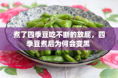 煮了四季豆吃不断的放屁，四季豆煮后为何会变黑 