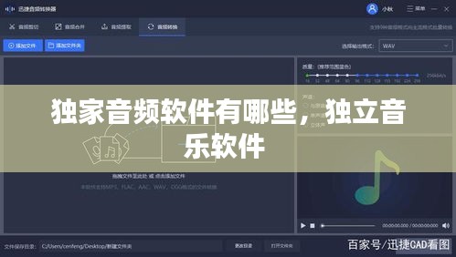 独家音频软件有哪些，独立音乐软件 