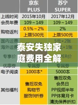 泰安失独家庭费用全解析，最新概况与标准一网打尽