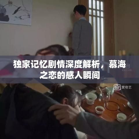 独家记忆剧情深度解析，慕海之恋的感人瞬间