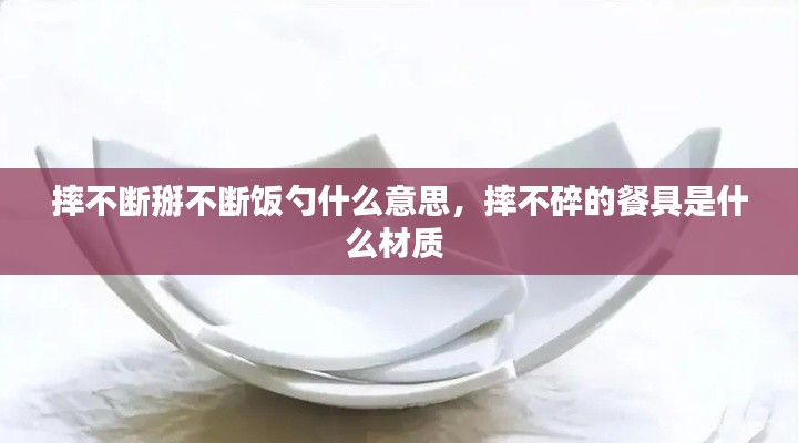 摔不断掰不断饭勺什么意思，摔不碎的餐具是什么材质 