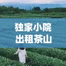 独家小院出租茶山，农家小院出租 价格低 环境好 