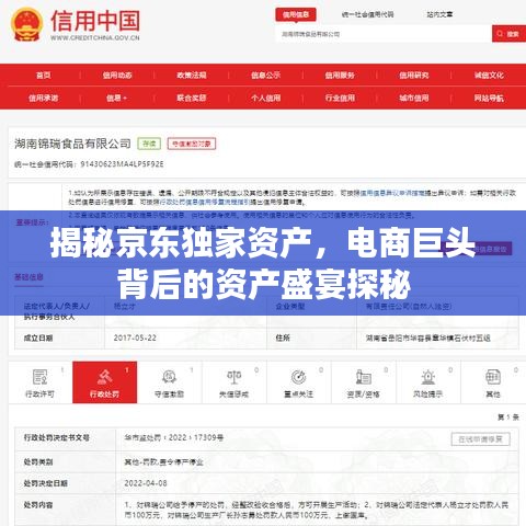 揭秘京东独家资产，电商巨头背后的资产盛宴探秘