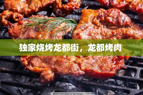 独家烧烤龙都街，龙都烤肉 