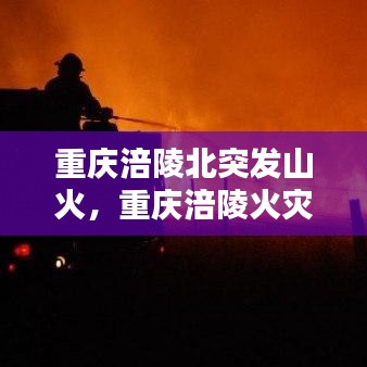 重庆涪陵北突发山火，重庆涪陵火灾致一家六口死亡 