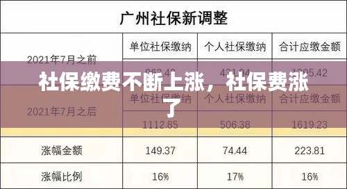 社保缴费不断上涨，社保费涨了 