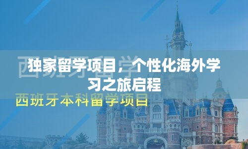 独家留学项目，个性化海外学习之旅启程