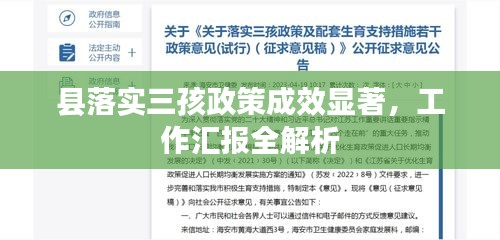 县落实三孩政策成效显著，工作汇报全解析