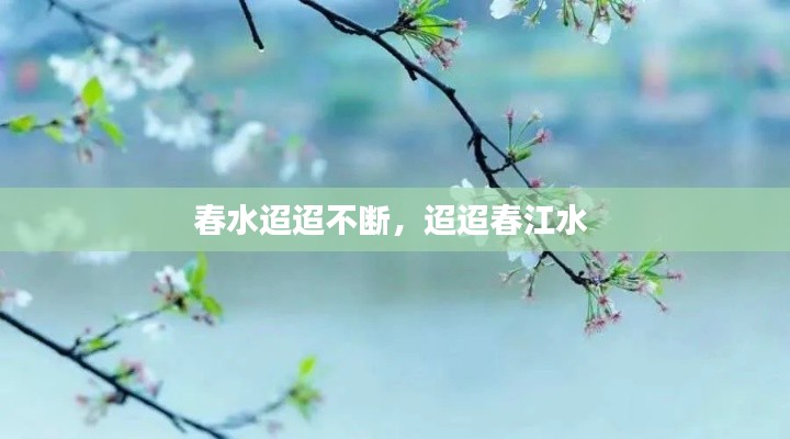 春水迢迢不断，迢迢春江水 