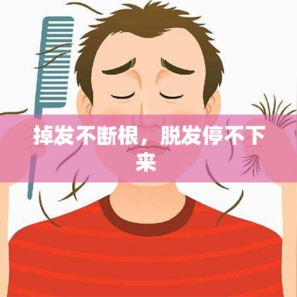 掉发不断根，脱发停不下来 