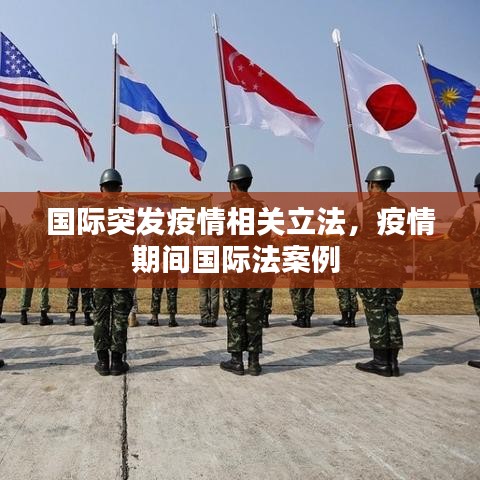 国际突发疫情相关立法，疫情期间国际法案例 