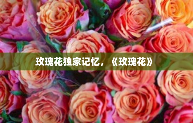 玫瑰花独家记忆，《玫瑰花》 