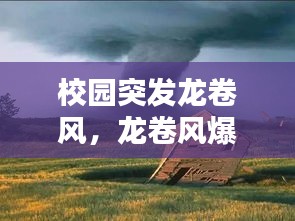 2025年1月7日 第11页