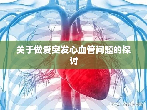 关于做爱突发心血管问题的探讨