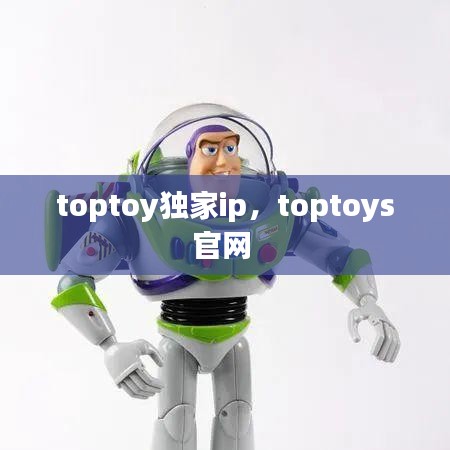 toptoy独家ip，toptoys官网 