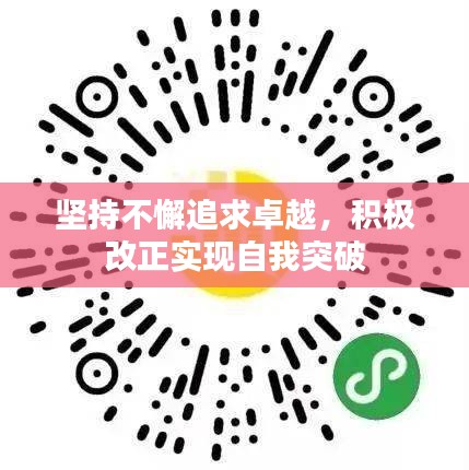 坚持不懈追求卓越，积极改正实现自我突破