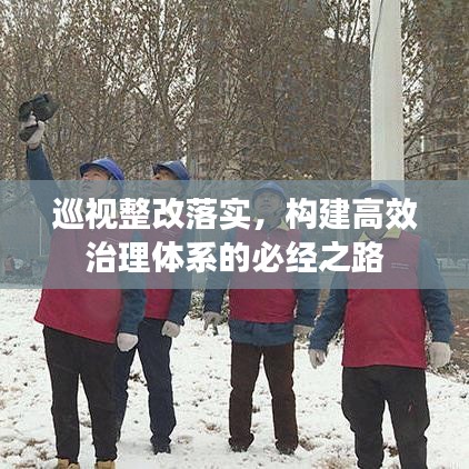 巡视整改落实，构建高效治理体系的必经之路