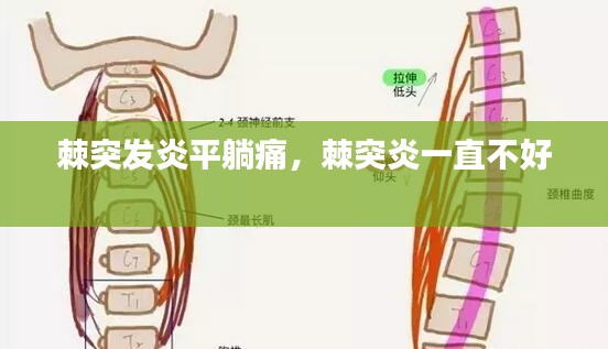 2025年1月8日 第9页