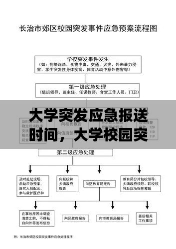 大学突发应急报送时间，大学校园突发事件应急预案 