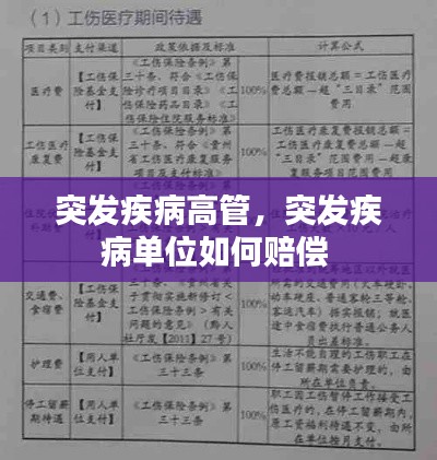 突发疾病高管，突发疾病单位如何赔偿 