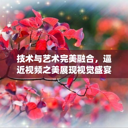 技术与艺术完美融合，逼近视频之美展现视觉盛宴