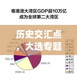 历史交汇点，大选专题深度解析未来走向