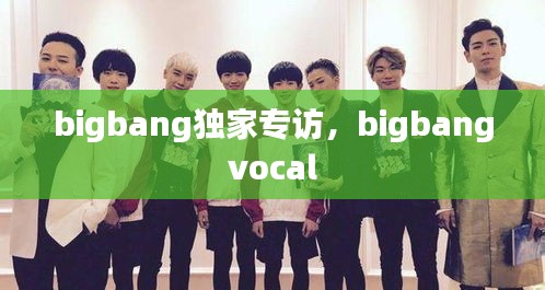 bigbang独家专访，bigbang vocal 