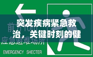 突发疾病紧急救治，关键时刻的健康守护者